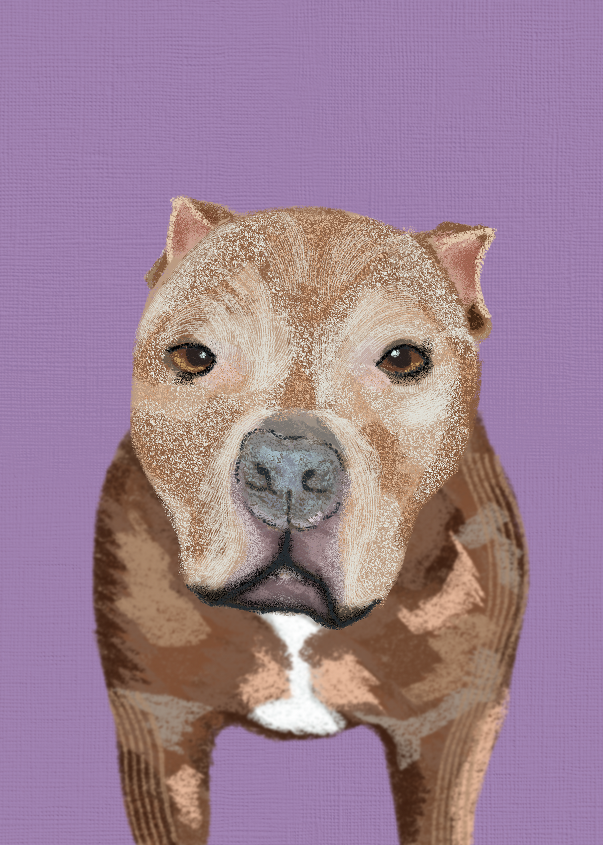 Hand Drawn Custom Pet Portrait Print – Whimsical Animal Illustration, Procreate Art
